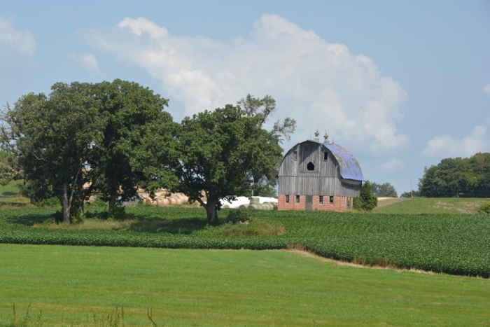 blue-roofed barn